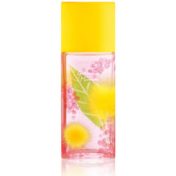 Elizabeth Arden Green Tea Mimosa 100ml Femmes