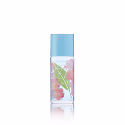 Elizabeth Arden Green Tea Sakura Blossom Femmes 100ml
