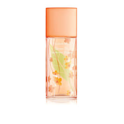 Elizabeth Arden Green Tea Nectarine Blossom Eau de Toilette Spray 100ml Femmes