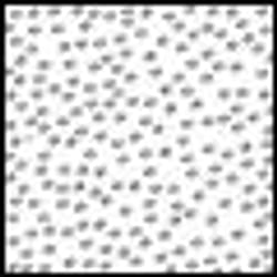 Cokin WP1R830 filtre pour appareils photo 8,4 cm
