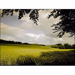 Cokin P125L filtre pour appareils photo