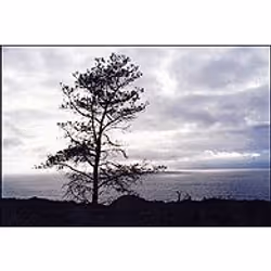 Cokin WP1R004 filtre pour appareils photo 8,4 cm