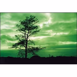 Cokin WP1R004 filtre pour appareils photo 8,4 cm