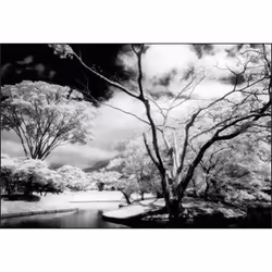 Cokin WP1R007 filtre pour appareils photo 8,4 cm