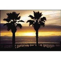 Cokin WP1R001 filtre pour appareils photo