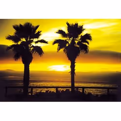 Cokin WP1R001 filtre pour appareils photo