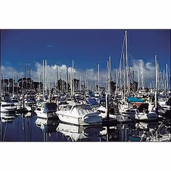 Cokin WP1R164 filtre pour appareils photo