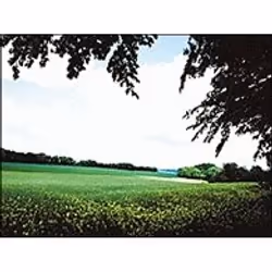Cokin WP1R121L filtre pour appareils photo 8,4 cm