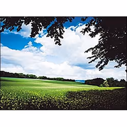 Cokin WP1R121L filtre pour appareils photo 8,4 cm