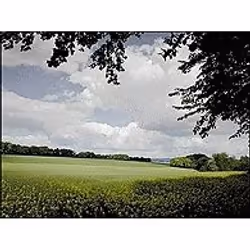 Cokin WP1R125L filtre pour appareils photo 8,4 cm