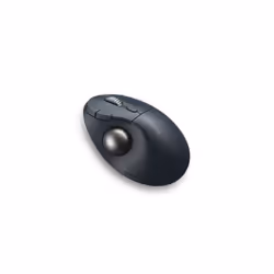 Kensington Pro Fit Ergo TB550 souris Droitier RF sans fil + Bluetooth Trackball 1600 DPI