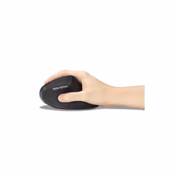 Kensington Pro Fit Ergo MY630 EQ souris Bureau Droitier RF Wireless + Bluetooth + USB Type-A 2400 DPI - Vue supplémentaire 8