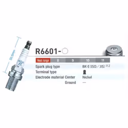 Bougie d'allumage NGK R6601-8 3033