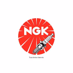 NGK Spark plug DR 8 EIX