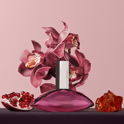 Euphoria eau de parfum vaporisateur 30 ml