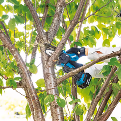 Tronçonneuse de branches Makita DUC101SF; 18 V; 10 cm rail de guidage; 1x3,0 Ah accu. - Vue supplémentaire 6