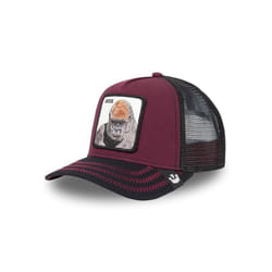 Casquette Goorin Bros 101-0512-Win The Boss Bordeaux - Homme - Automne / Hiver - Casual