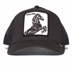 Casquette - Goorin Bros - Stallion - Taille unique - Couleur Noir - Pour Homme