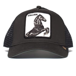 Casquette - Goorin Bros - Stallion - Taille unique - Couleur Noir - Pour Homme