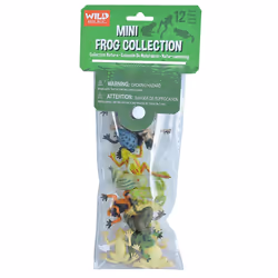 Wild Republic Frog, 4 an(s), Multicolore