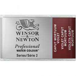 Winsor & Newton 0100125 peinture à l'eau Marron Palette 1 pièce(s)
