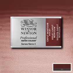 Winsor & Newton 0100125 peinture à l'eau Marron Palette 1 pièce(s)