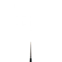 Winsor & Newton 5007030 1 pièce(s)