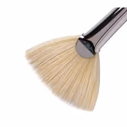 Winsor & Newton 5878006, Pinceau simple, Brosse éventail, Poils de porc, 1 pièce(s)
