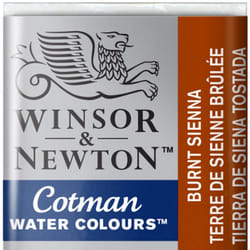 Winsor & Newton 0301074 peinture à l'eau Marron Bâtonnets 1 pièce(s)