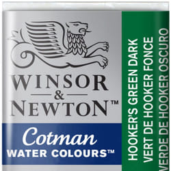 Winsor & Newton 0301312 peinture à l'eau Vert Bâtonnets 1 pièce(s)