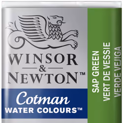 Winsor & Newton 0301599, Vert, 1 pièce(s)