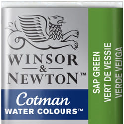 Winsor & Newton 0301599 peinture à l'eau Vert Bâtonnets 1 pièce(s)