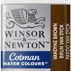 Winsor & Newton 0301676 peinture à l'eau Marron Bâtonnets 1 pièce(s)