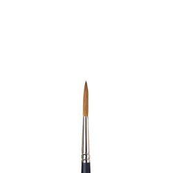 Winsor & Newton Professional Watercolour 1 pièce(s)