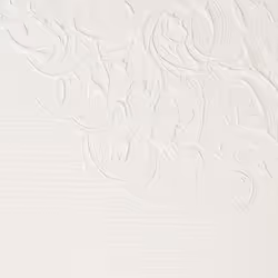Winsor & Newton Artists' Oil Colour 200 ml Tube Blanc