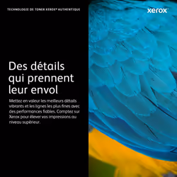 Xerox Cartouche de toner Jaune C410 / VersaLink C415 Color Multifunction Printer - 006R04680, 2000 pages, Jaune, 1 pièce(s)