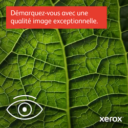 Xerox C310 Imprimante recto verso sans fil A4 33 ppm, PS3 PCL5e/6, 2 magasins Total 251 feuilles - Vue supplémentaire 16