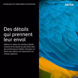 Xerox Cartouche de toner Cyan VersaLink C400 Color Printer / C405 Color Multifunction Printer - 106R03502