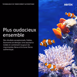 Xerox Cartouche de toner Blanc VersaLink C8000W - 106R04646 - Vue supplémentaire 12