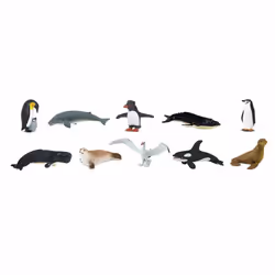 Safari Ltd Antarctica TOOB, 3 an(s), Antarctique, Multicolore