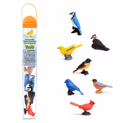 Safari Ltd Backyard Birds TOOB, 3 an(s), Backyard Birds, Multicolore