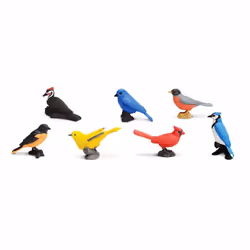 Safari Ltd Backyard Birds TOOB