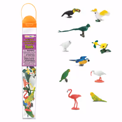 Safari Ltd Exotic Birds TOOB, 3 an(s), Exotic Birds, Multicolore