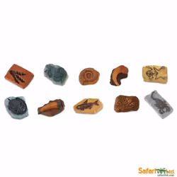 Safari Ltd Ancient Fossils TOOB