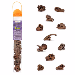 Safari Ltd Dinosaur Skulls TOOB, 3 an(s), Dinosaur Skulls, Marron