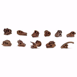 Safari Ltd Dinosaur Skulls TOOB
