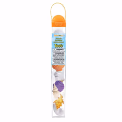 Safari Ltd Seashells TOOB, 3 an(s), Seashells, Multicolore