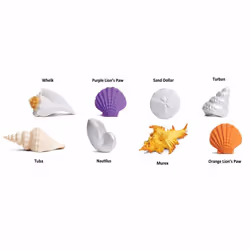 Safari Ltd Seashells TOOB