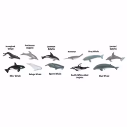 Safari Ltd Whales & Dolphins TOOB