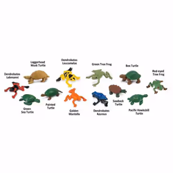 Safari Ltd Frogs & Turtles TOOB